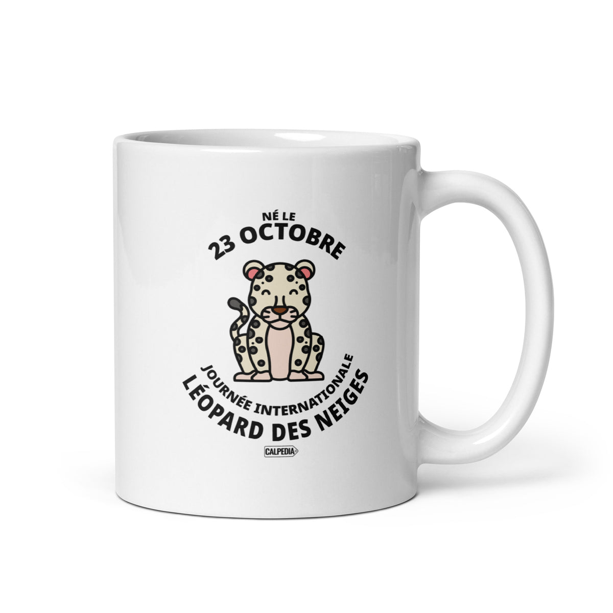 CALPEDIA 23 OCTOBRE - 01 STANDARD