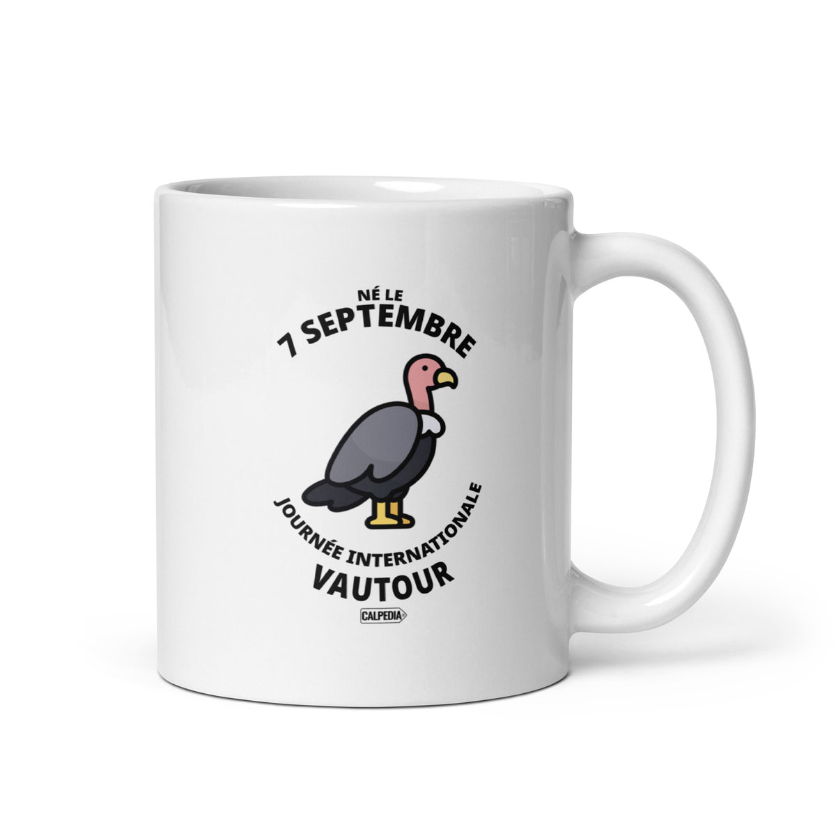 CALPEDIA 7 SEPTEMBRE - 01 STANDARD