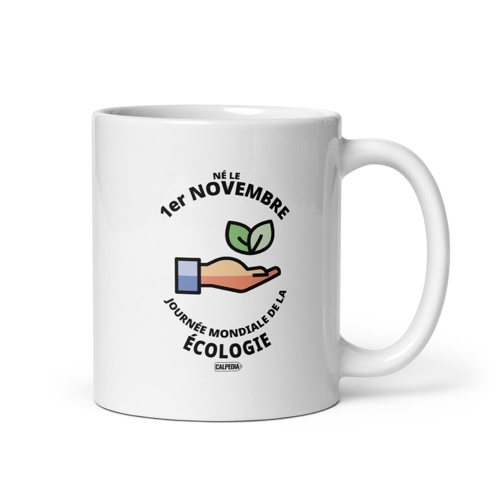 CALPEDIA 1 NOVEMBRE - 01 STANDARD