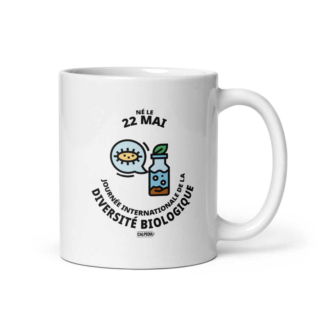 CALPEDIA 22 MAI - 01 STANDARD