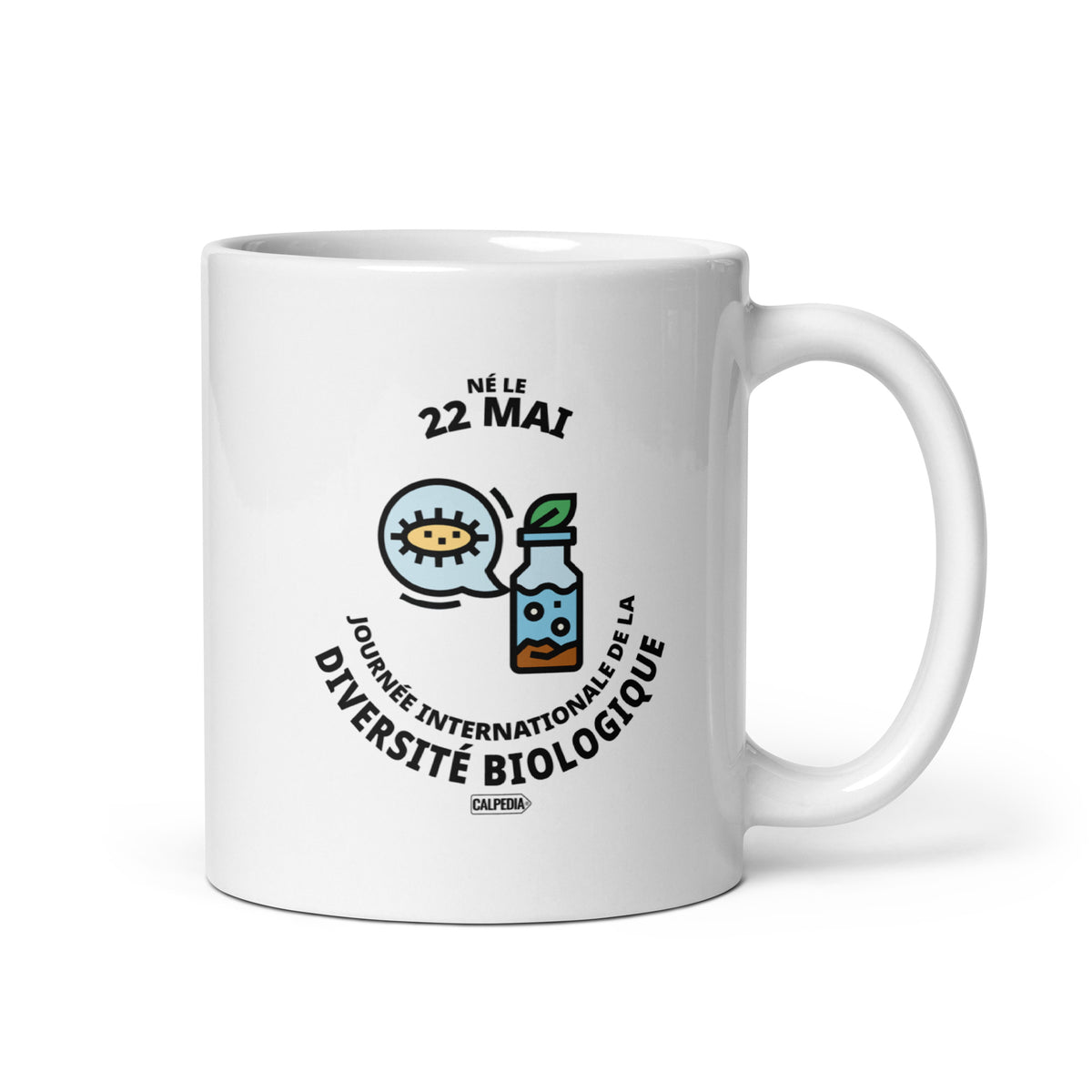 CALPEDIA 22 MAI - 01 STANDARD