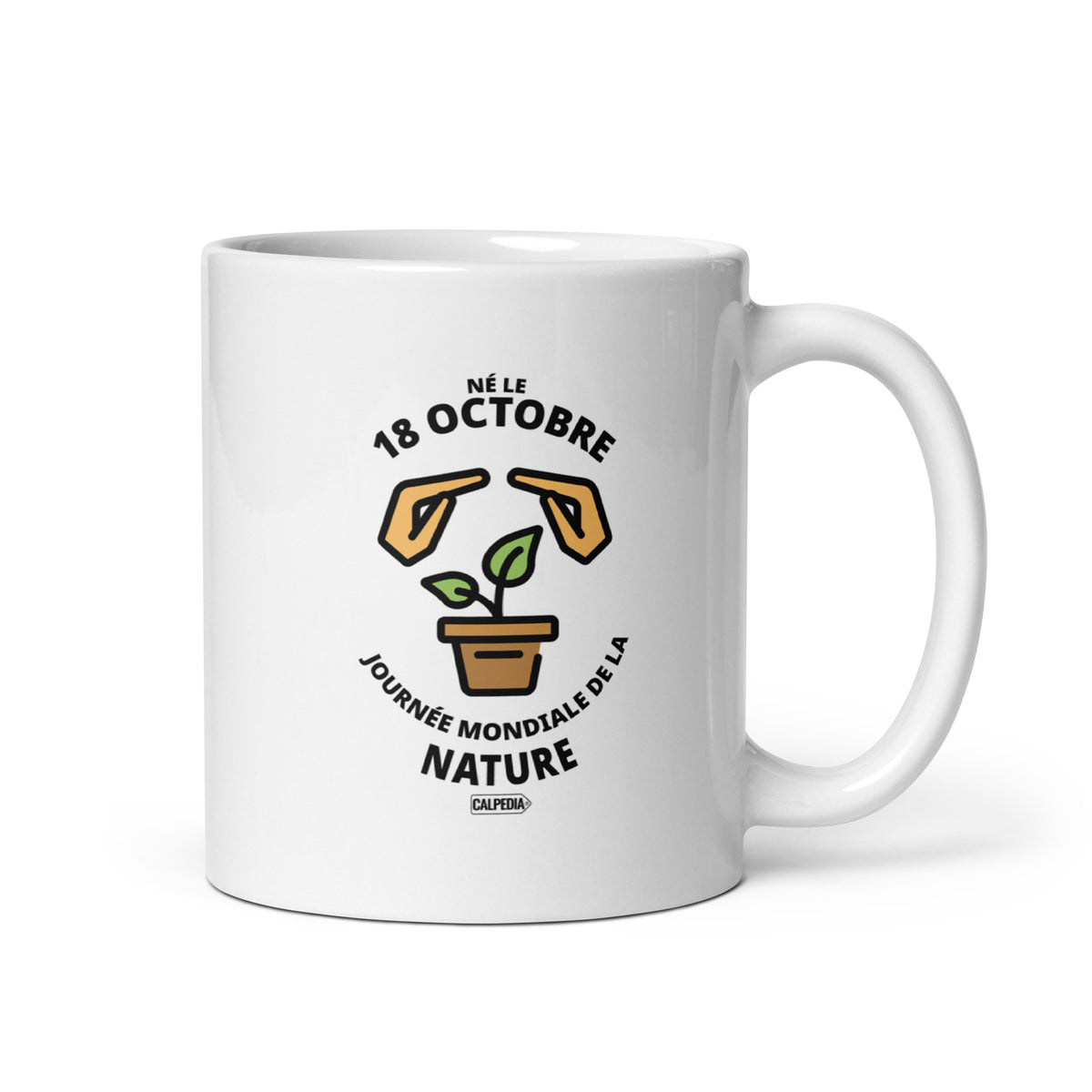 CALPEDIA 18 OCTOBRE - 01 STANDARD