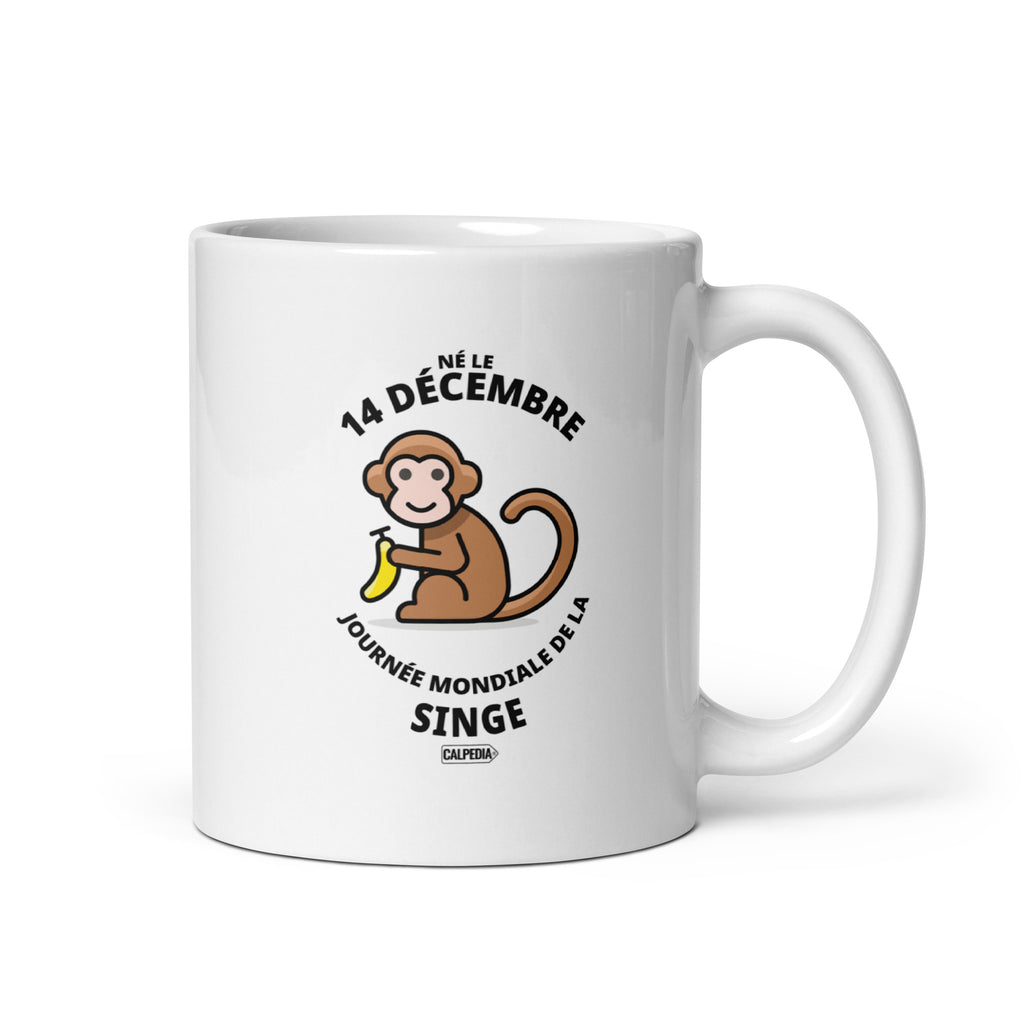 CALPEDIA 14 DÉCEMBRE - 01 STANDARD