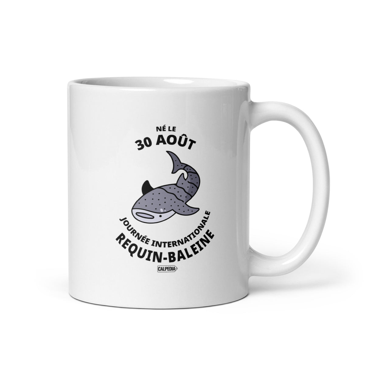CALPEDIA 30 AOÛT - 01 STANDARD