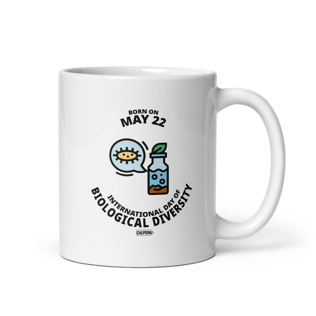 CALPEDIA MAY 22 - 01 STANDARD