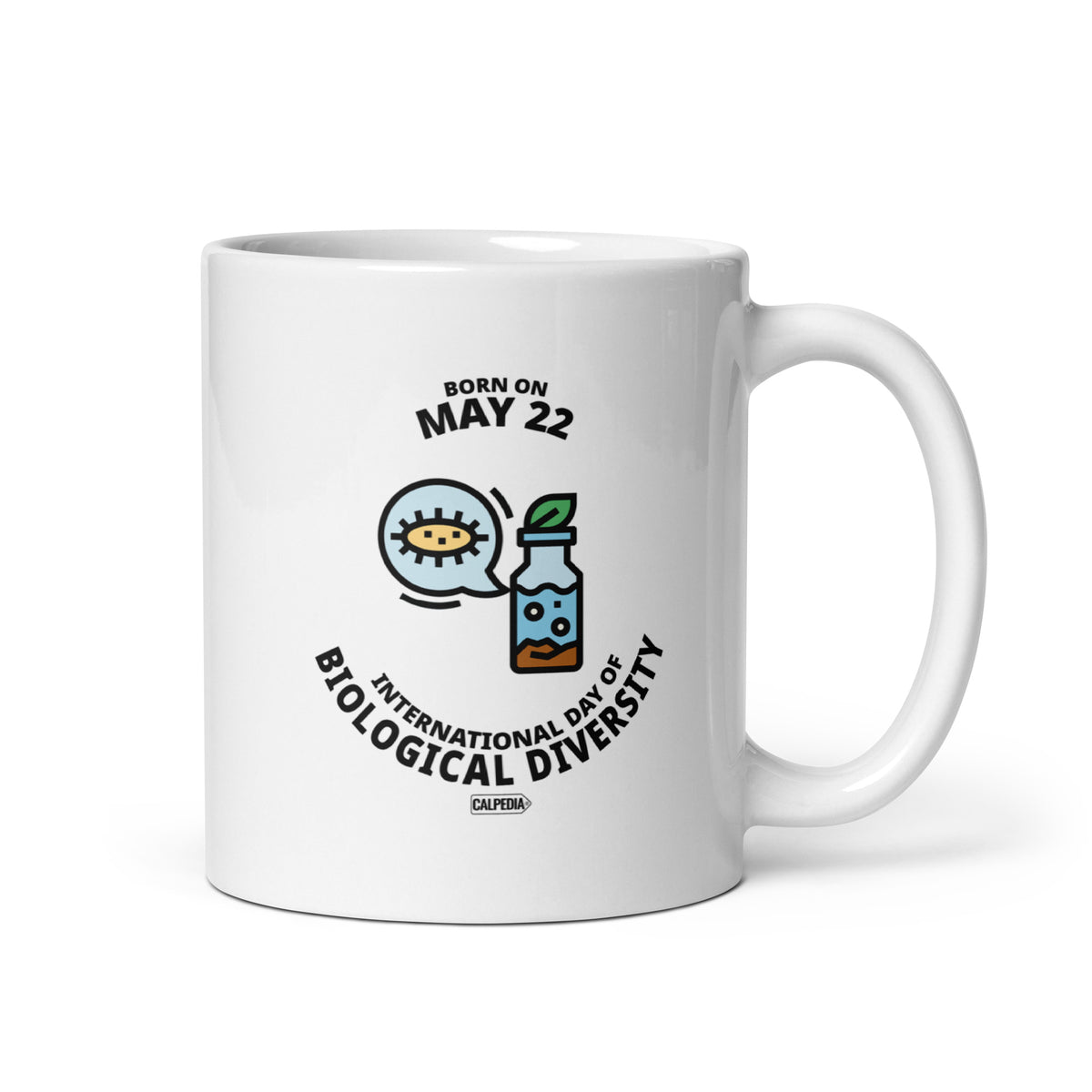 CALPEDIA MAY 22 - 01 STANDARD
