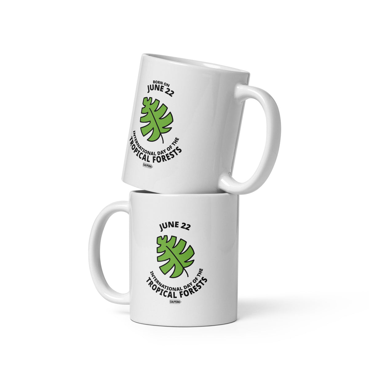 CALPEDIA JUNE 22 - 02 TWO MUGS
