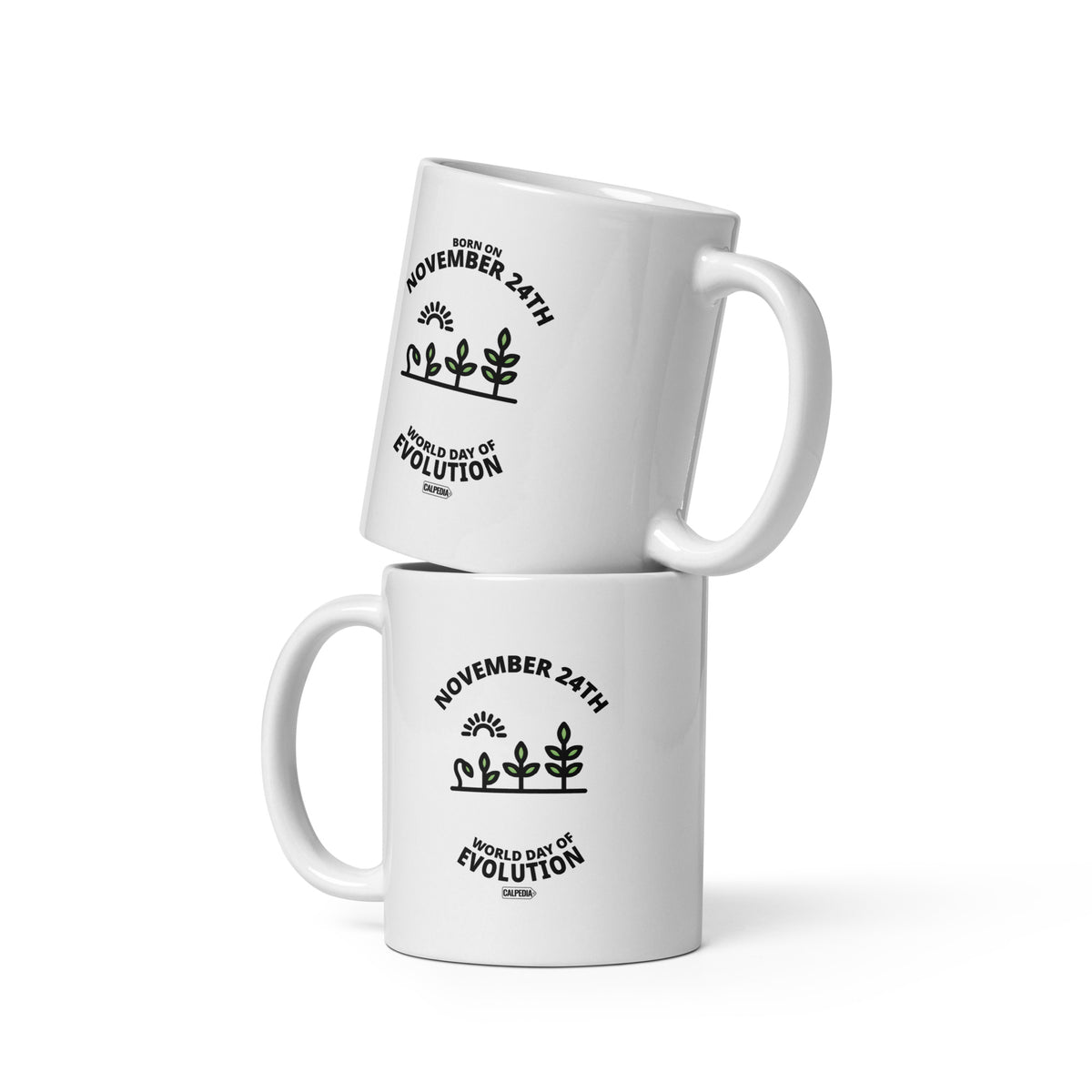 CALPEDIA NOVEMBER 24 - 02 TWO MUGS