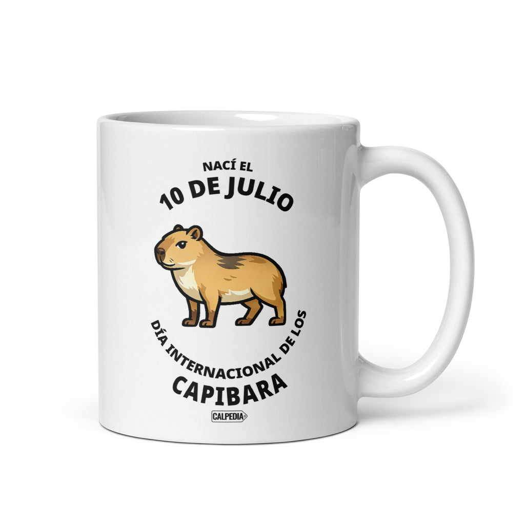 CALPEDIA 10 DE JULIO - 01 FRONTAL