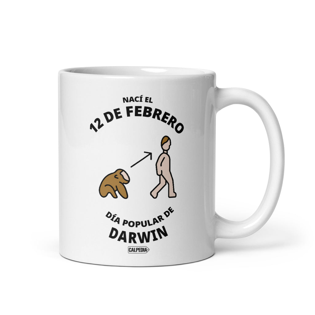 CALPEDIA 12 DE FEBRERO - 01 FRONTAL