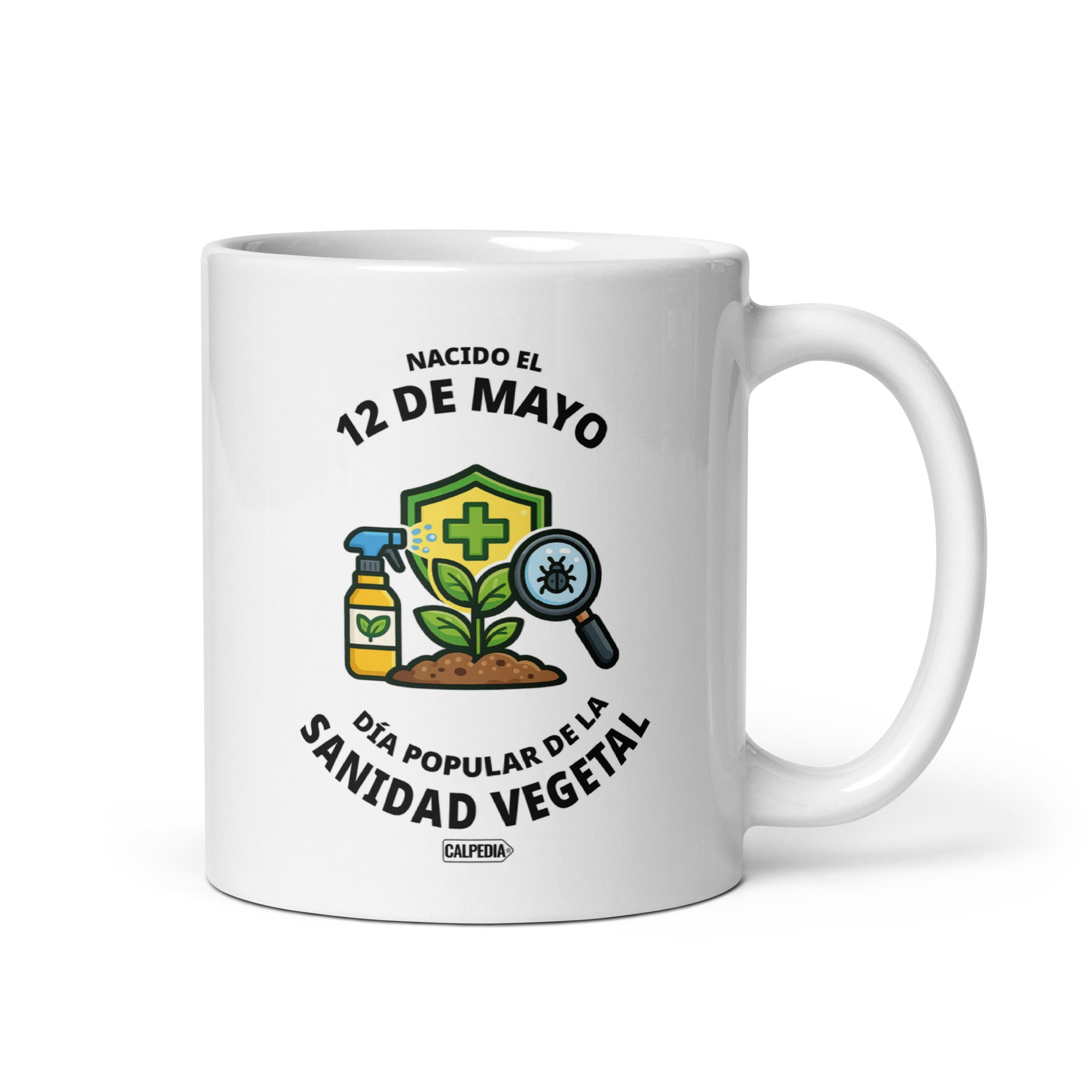 CALPEDIA 12 DE MAYO - 01 FRONTAL