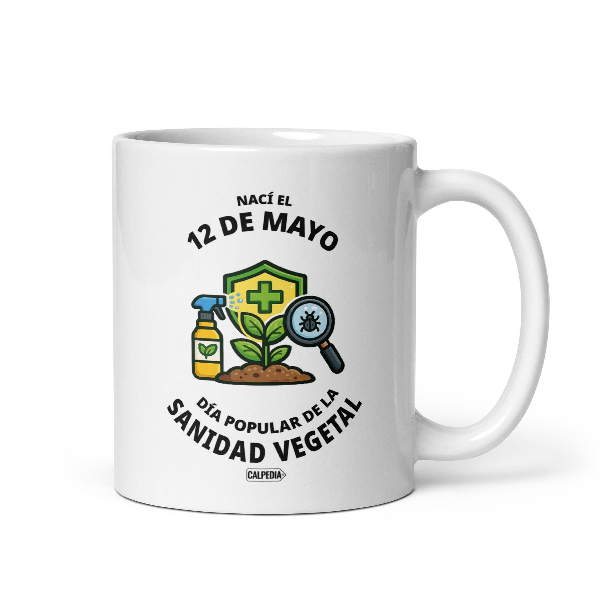 CALPEDIA 12 DE MAYO - 01 FRONTAL