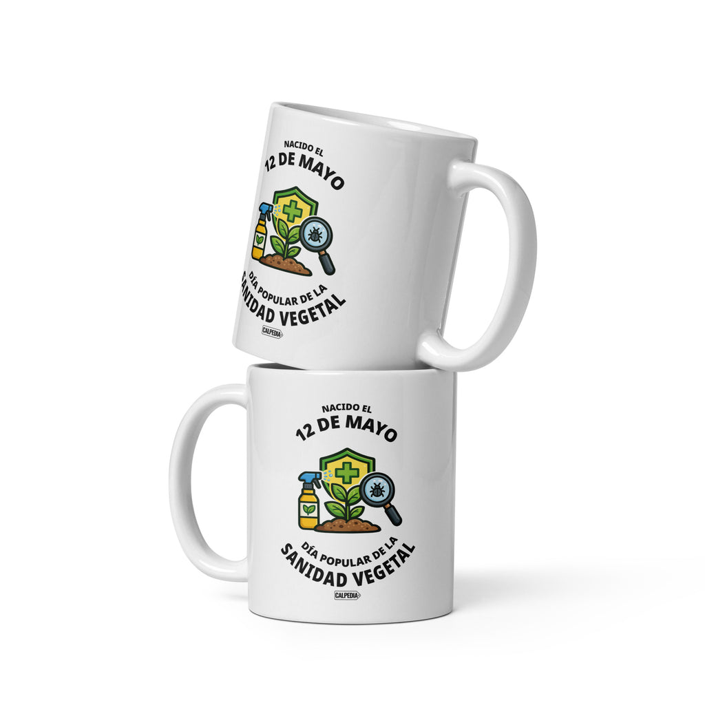CALPEDIA 12 DE MAYO - 02 DOS TAZAS