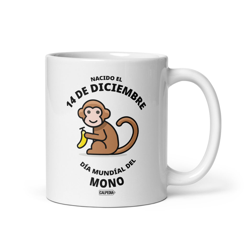 CALPEDIA 14 DE DICIEMBRE - 01 FRONTAL