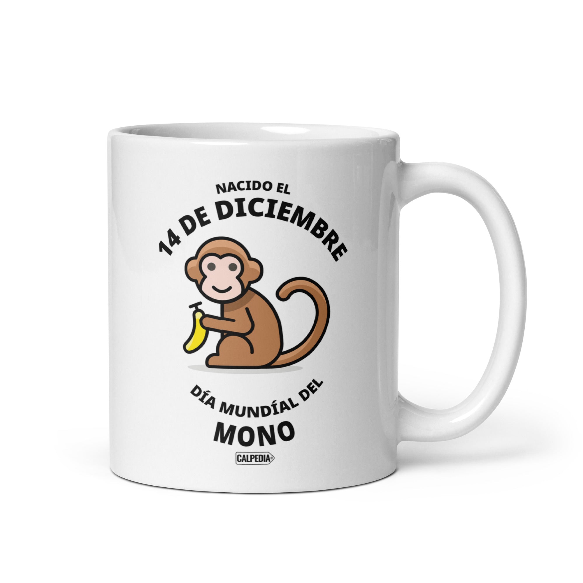 CALPEDIA 14 DE DICIEMBRE - 01 FRONTAL