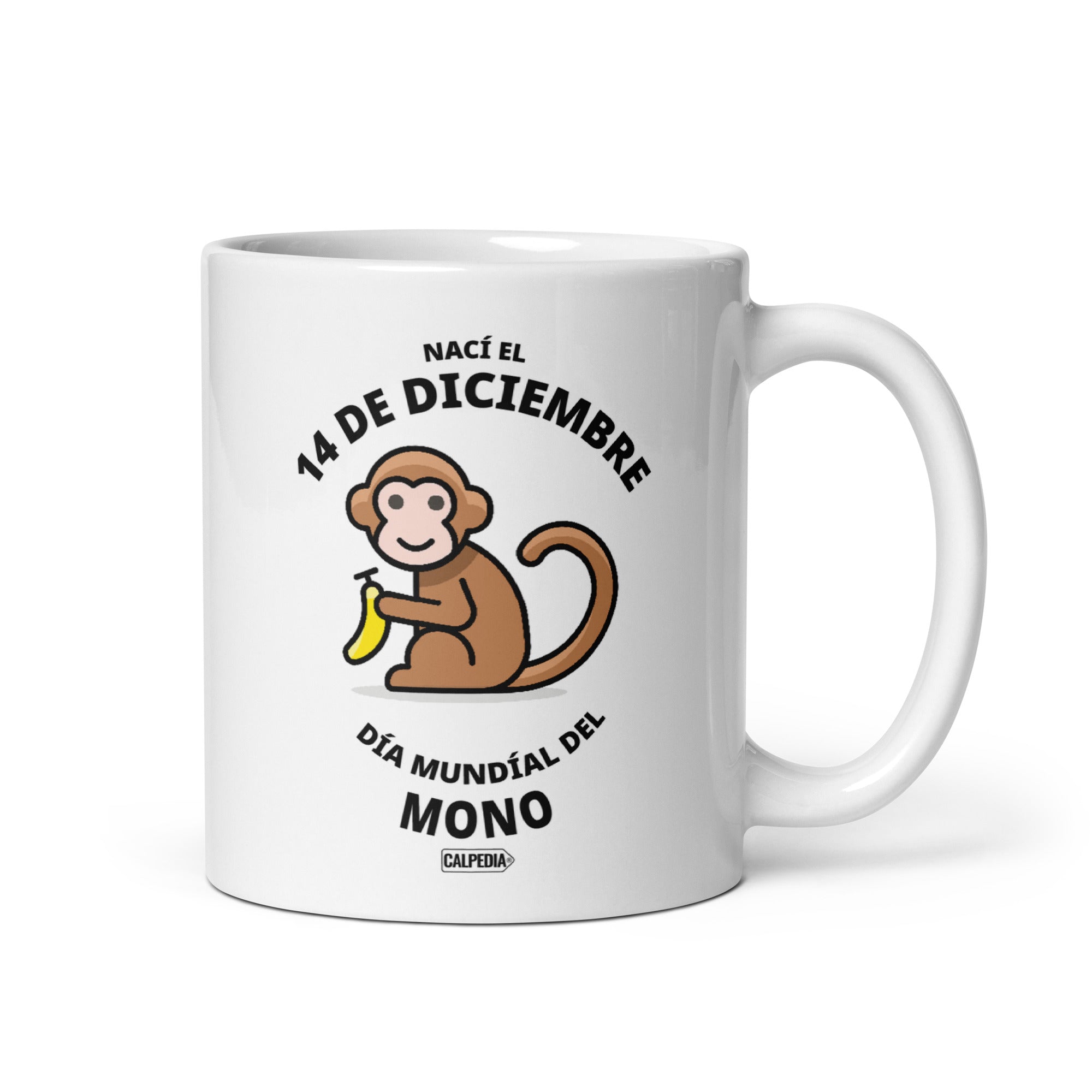 CALPEDIA 14 DE DICIEMBRE - 01 FRONTAL