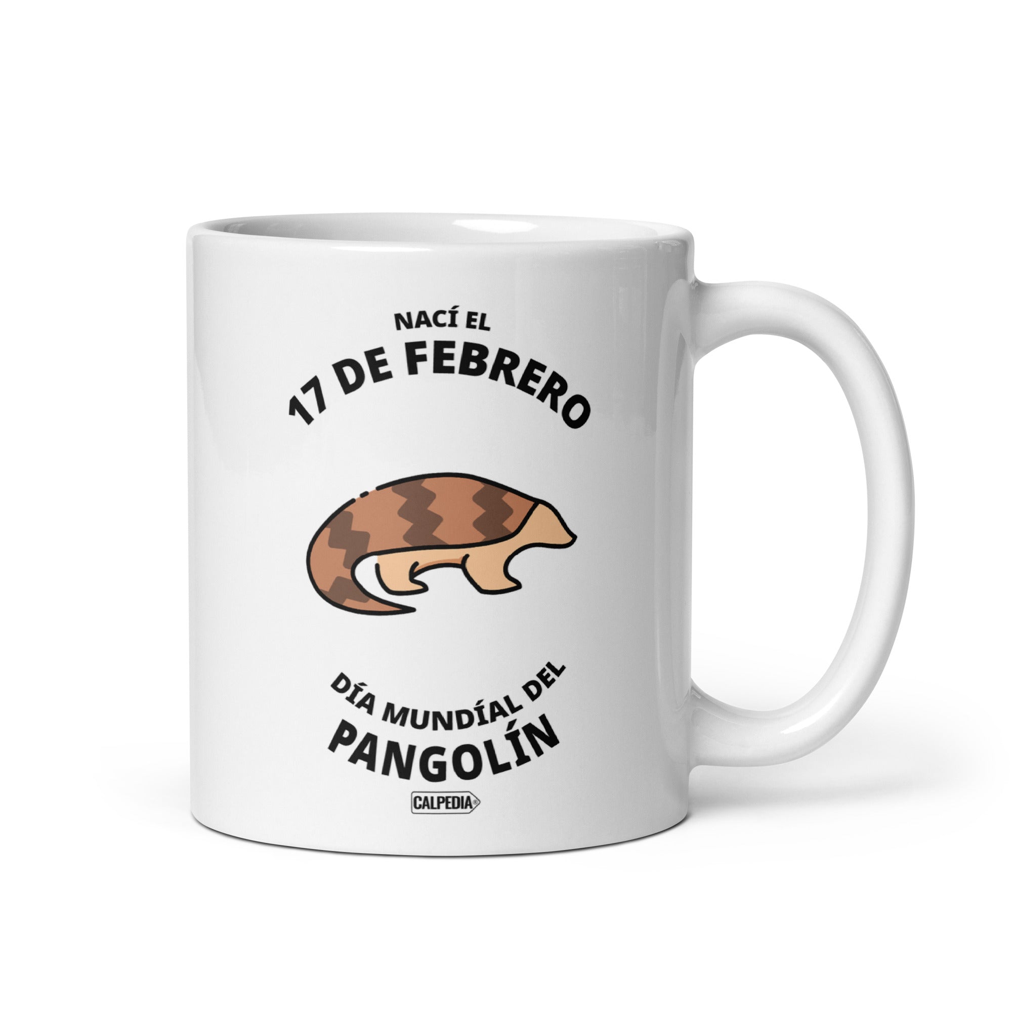 CALPEDIA 17 DE FEBRERO - 01 FRONTAL