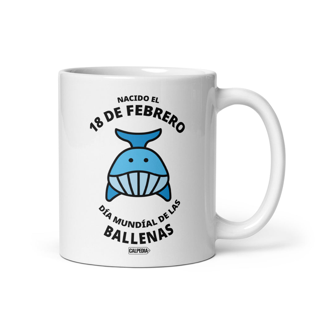 CALPEDIA 18 DE FEBRERO - 01 FRONTAL