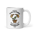CALPEDIA 18 DE OCTUBRE - 01 FRONTAL