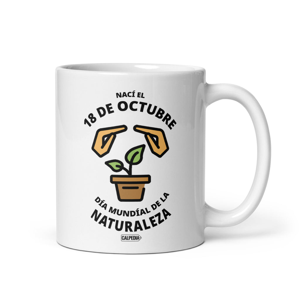 CALPEDIA 18 DE OCTUBRE - 01 FRONTAL