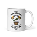 CALPEDIA 18 DE OCTUBRE - 01 FRONTAL