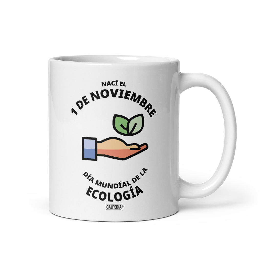 CALPEDIA 1 DE NOVIEMBRE - 01 FRONTAL