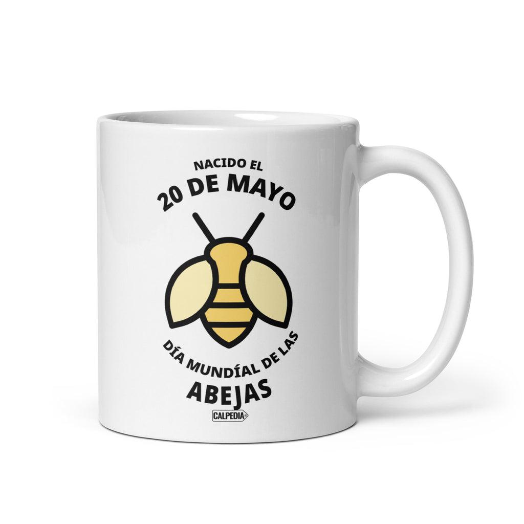 CALPEDIA 20 DE MAYO - 01 FRONTAL