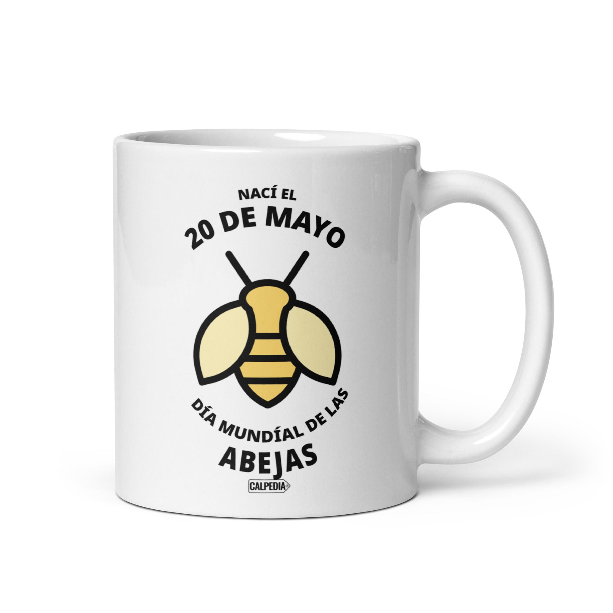 CALPEDIA 20 DE MAYO - 01 FRONTAL