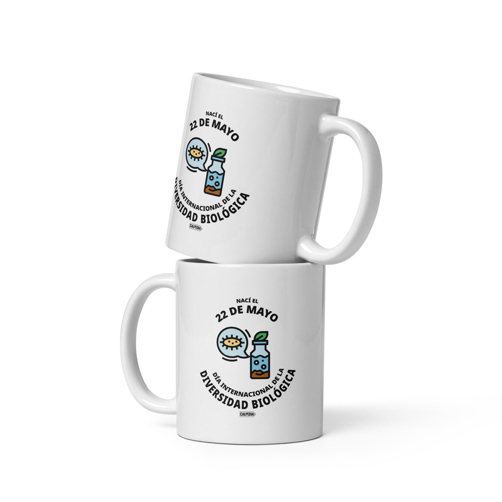 CALPEDIA 22 DE MAYO - 02 DOS TAZAS
