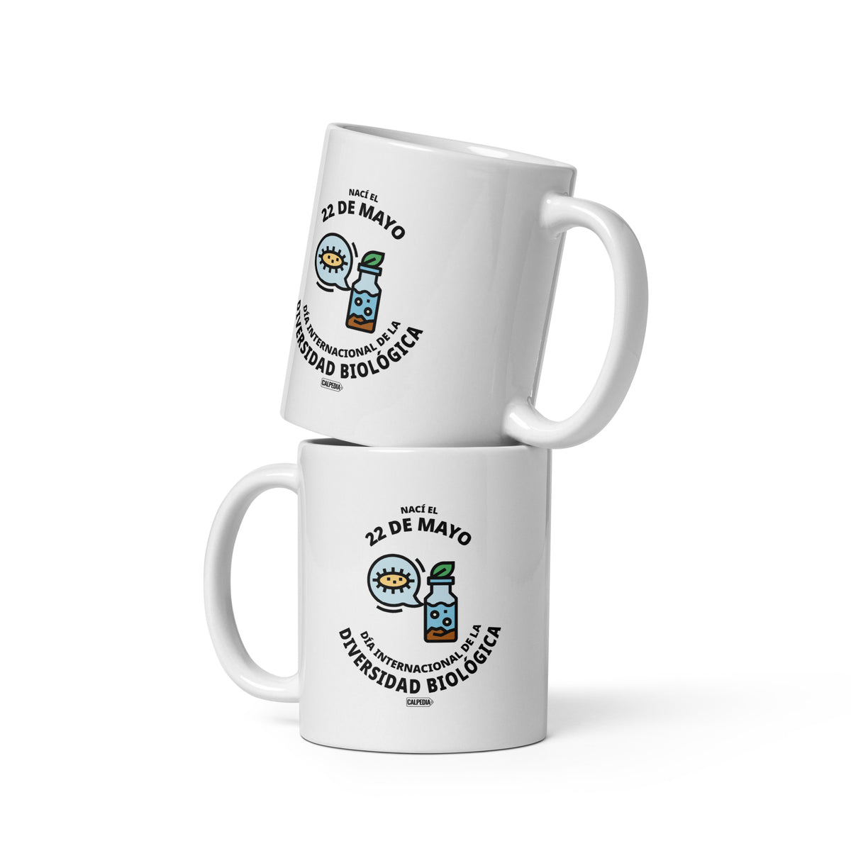 CALPEDIA 22 DE MAYO - 02 DOS TAZAS