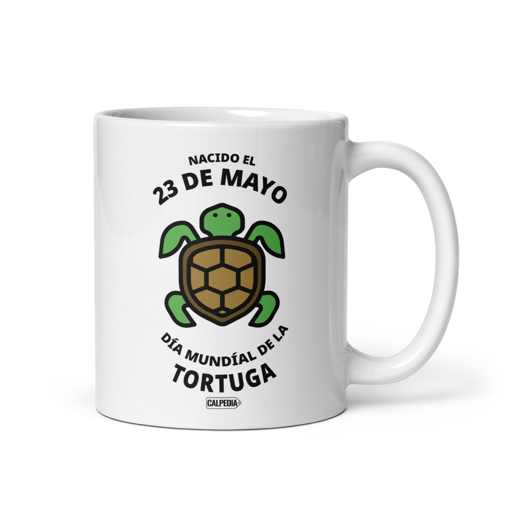 CALPEDIA 23 DE MAYO - 01 FRONTAL