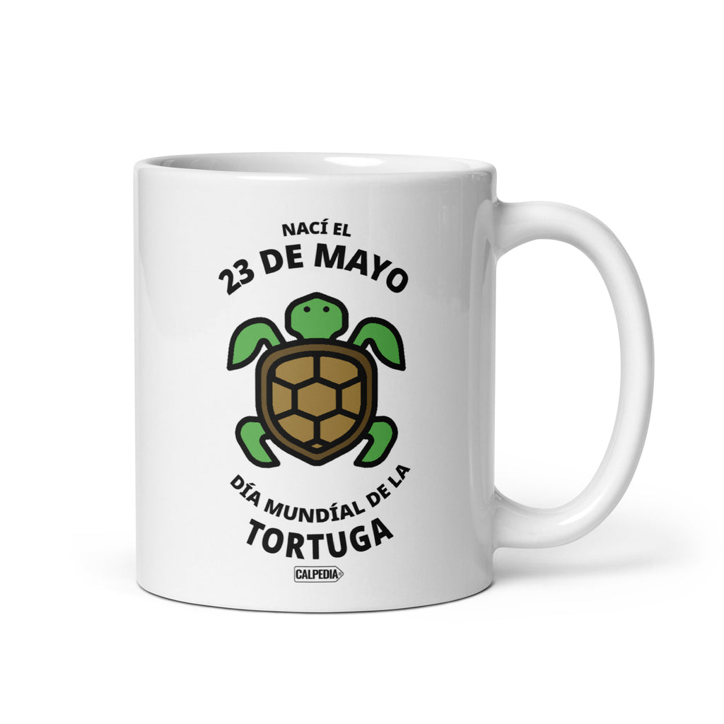 CALPEDIA 23 DE MAYO - 01 FRONTAL