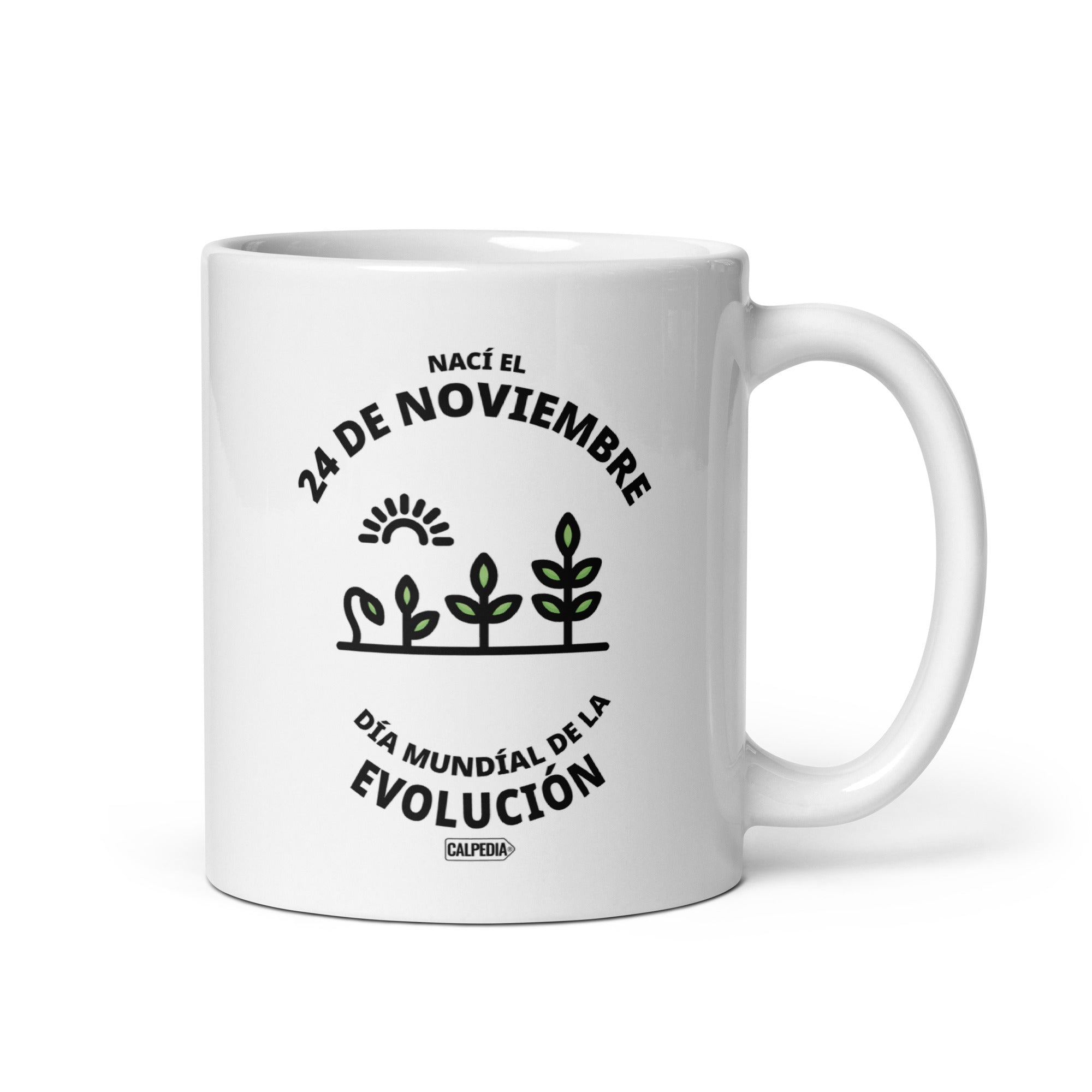 CALPEDIA 24 DE NOVIEMBRE - 01 FRONTAL