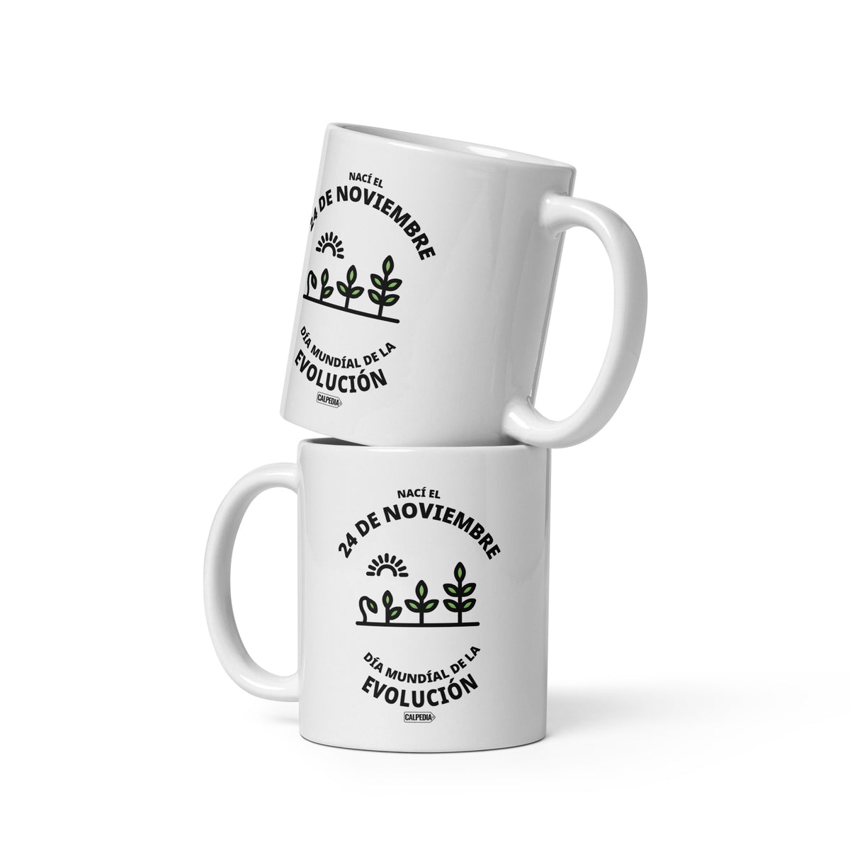CALPEDIA 24 DE NOVIEMBRE - 02 DOS TAZAS
