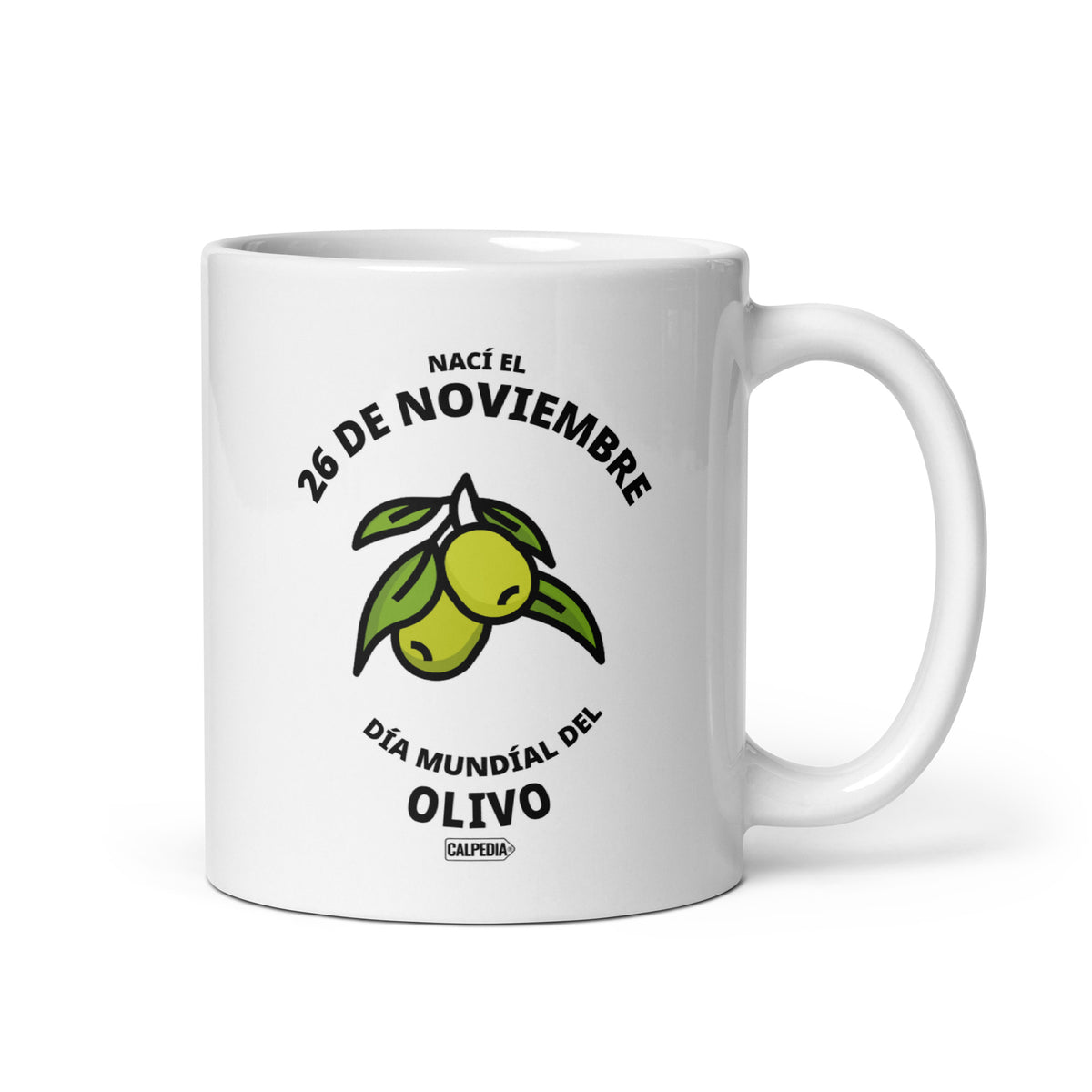 CALPEDIA 26 DE NOVIEMBRE - 01 FRONTAL
