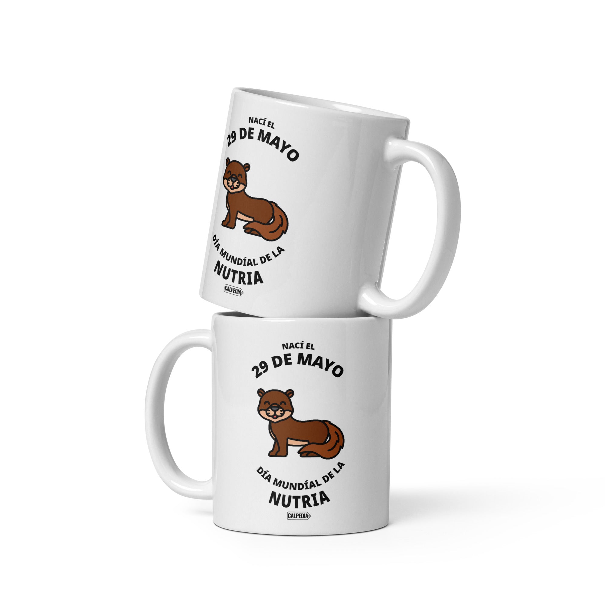 CALPEDIA 29 DE MAYO - 02 DOS TAZAS
