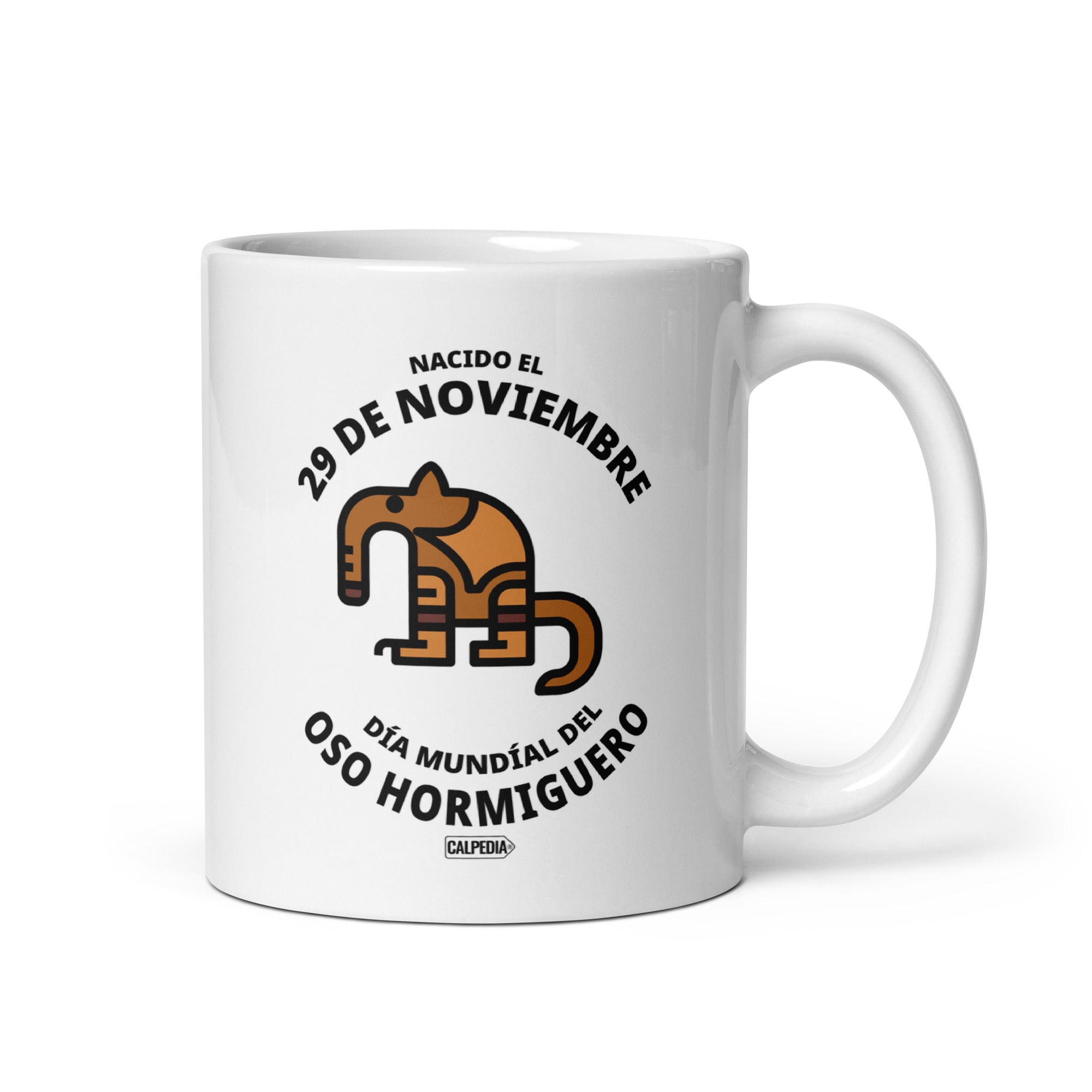 CALPEDIA 29 DE NOVIEMBRE - 01 FRONTAL