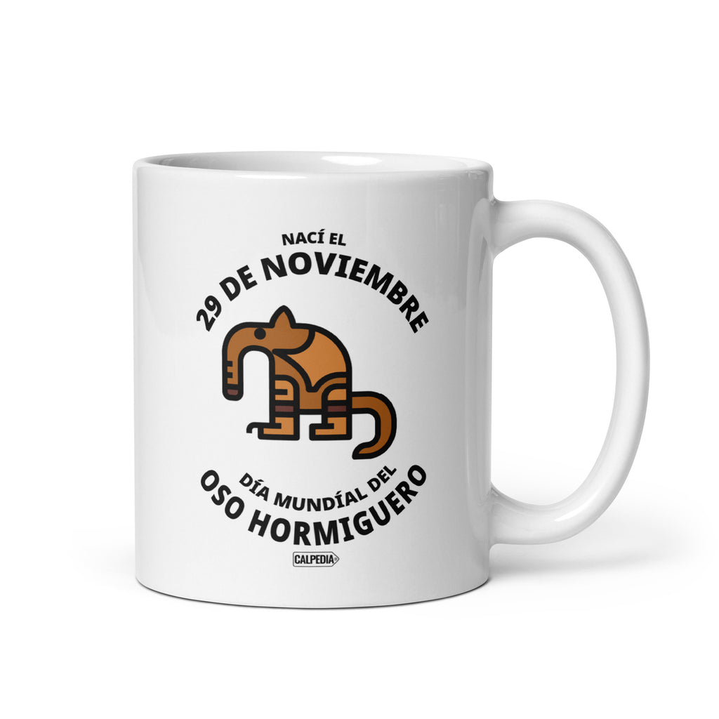 CALPEDIA 29 DE NOVIEMBRE - 01 FRONTAL