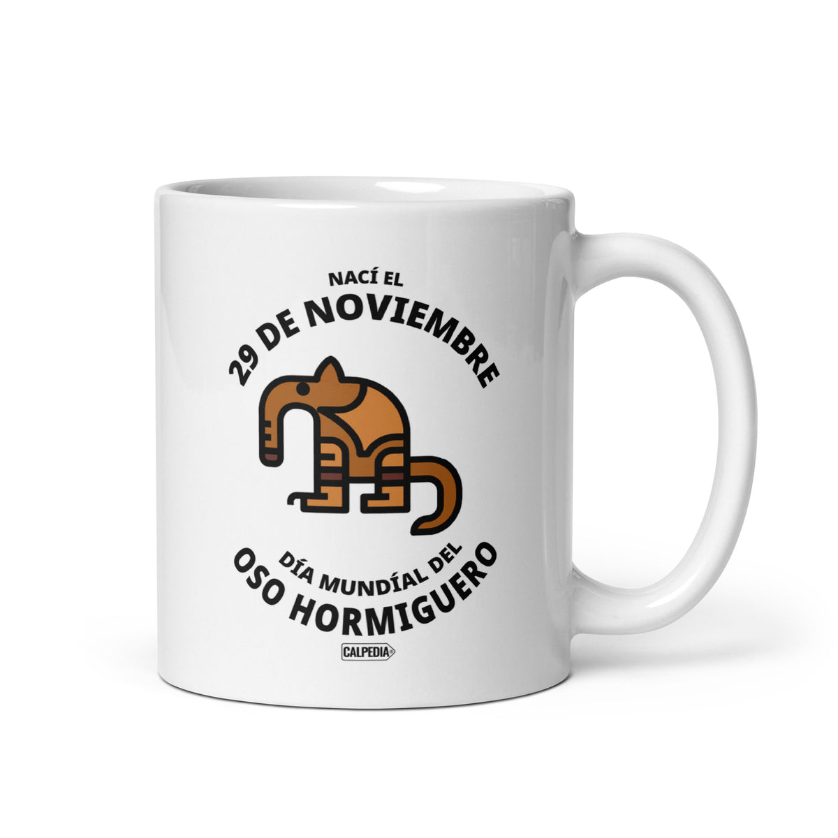 CALPEDIA 29 DE NOVIEMBRE - 01 FRONTAL