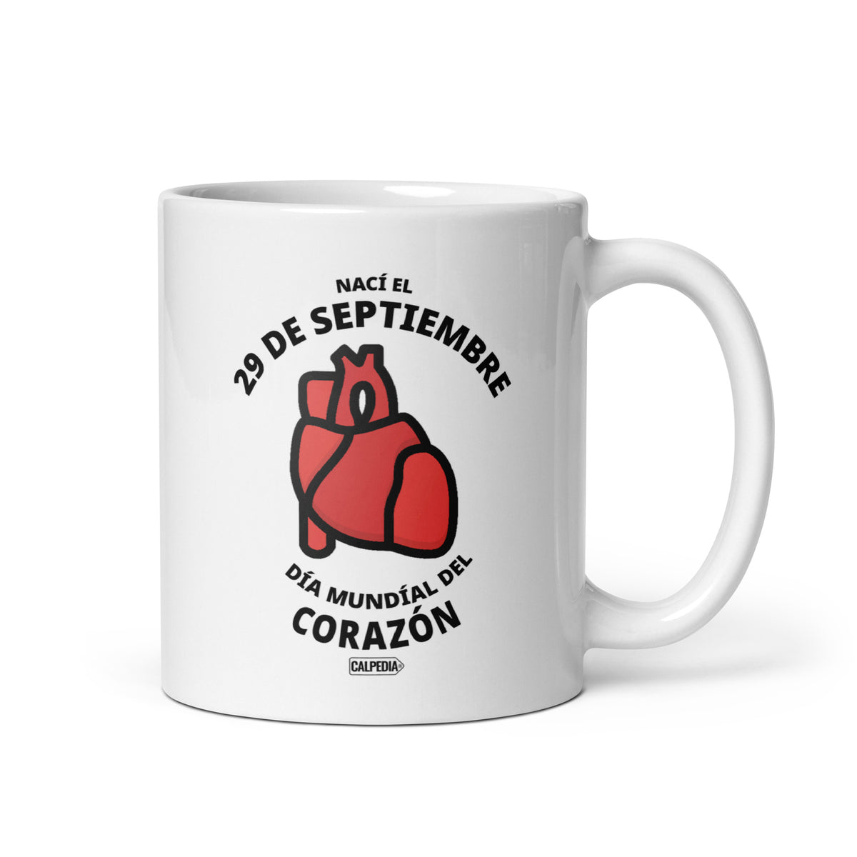 CALPEDIA 29 DE SEPTIEMBRE - 01 FRONTAL
