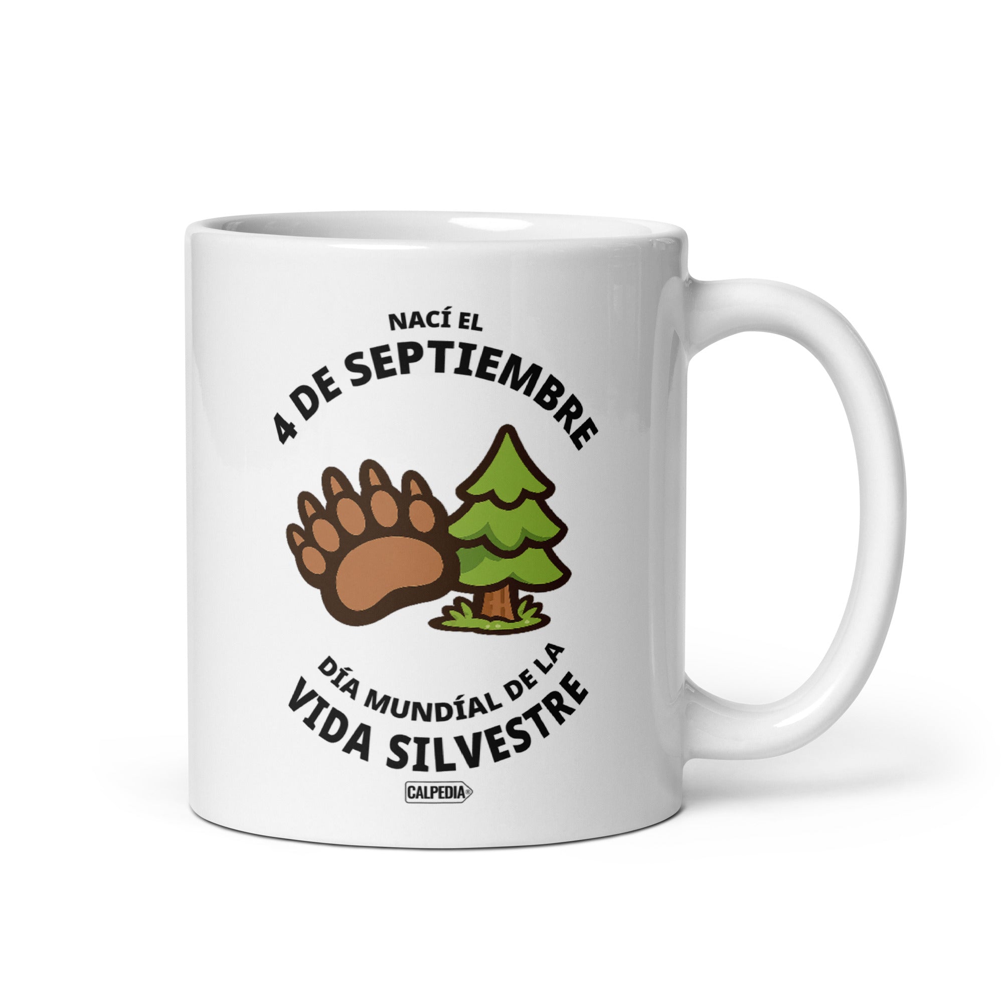 CALPEDIA 4 DE SEPTIEMBRE - 01 FRONTAL